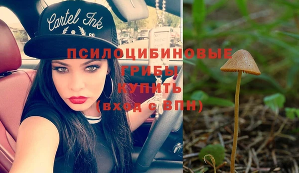 кристаллы Абаза
