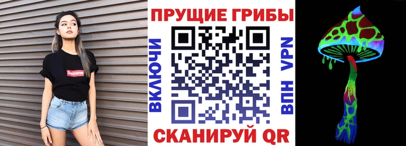 Галлюциногенные грибы Cubensis  хочу наркоту  Шарыпово 